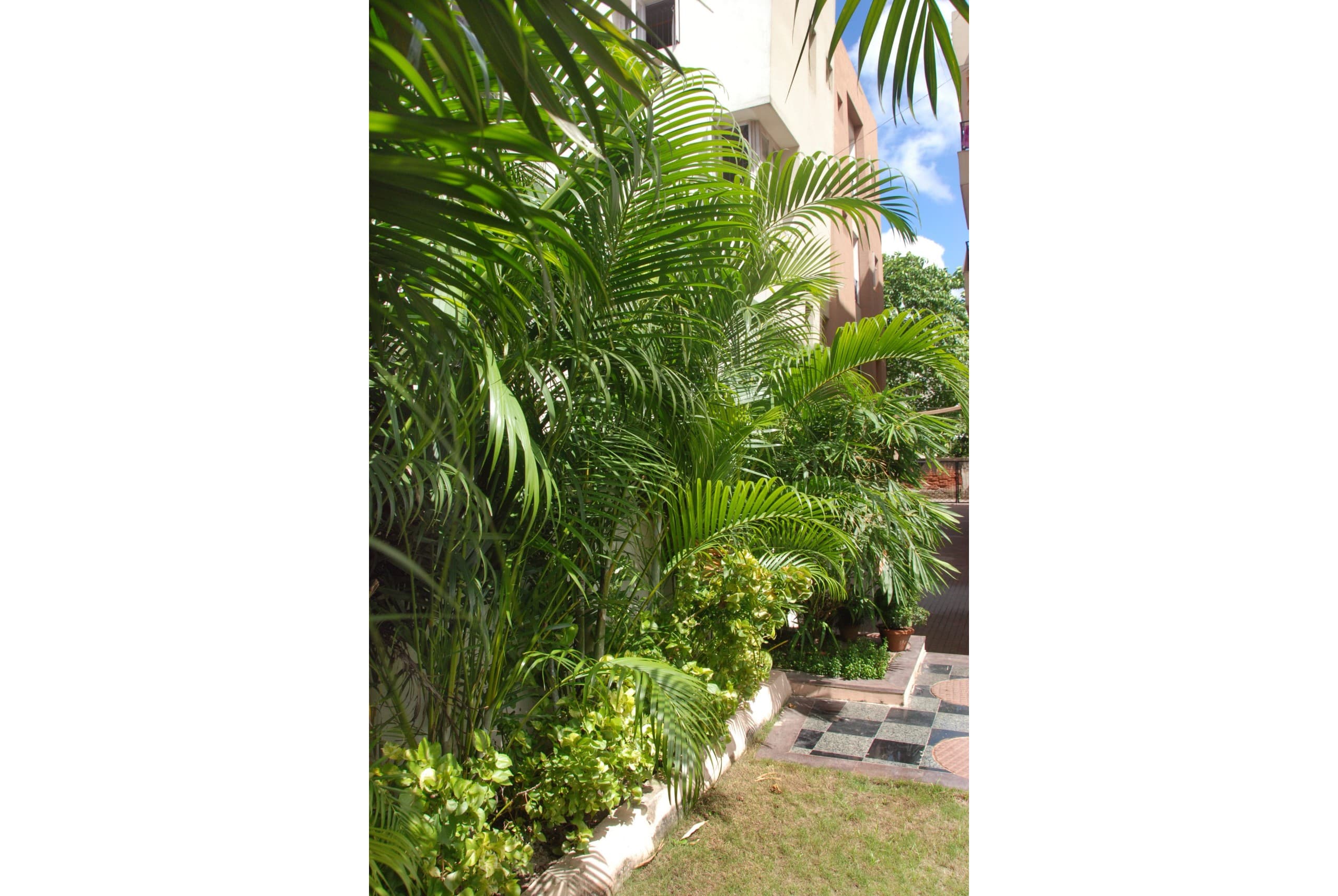 DSC_0167-scaled-1 (1)