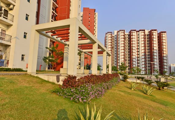 Green Valley - MEDITATION - READING - RELAXING