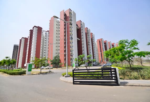 Verdian – The Club